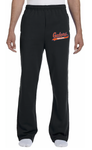 Gators sweatpants