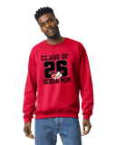 New Pal Cheer Senior Mom shirt